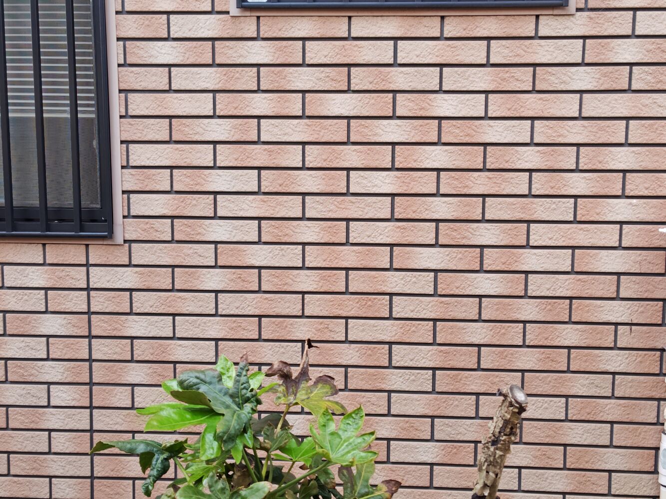 画像5404