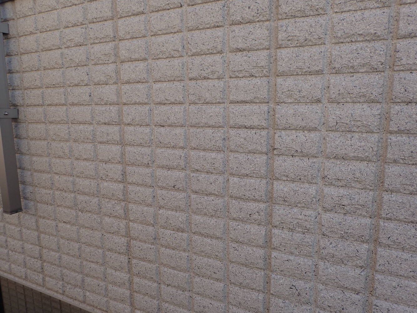 画像5587