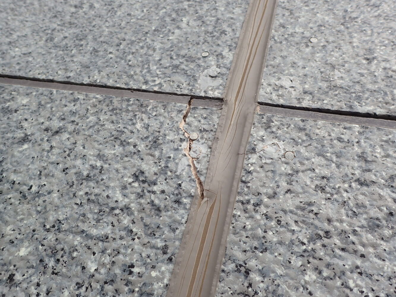 画像5691