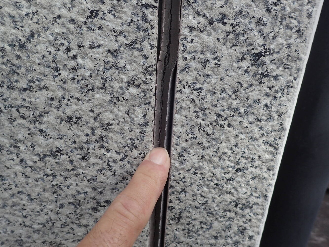 画像6445